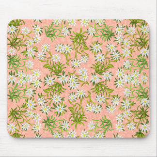 Flores alpinas Mousepad de Edelweiss do suíço
