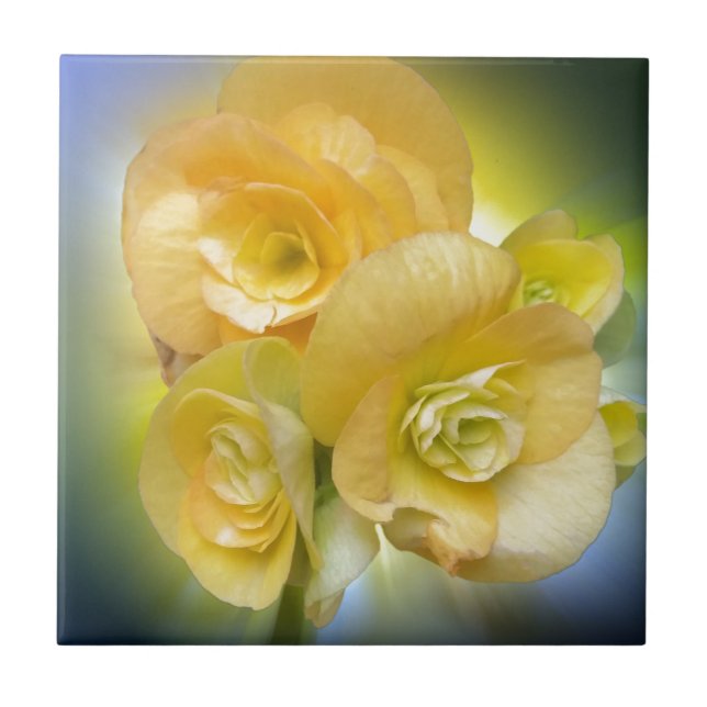 flores amarelas brilhando (Frente)
