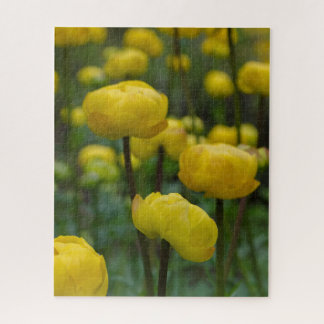 Flores amarelas do globo Quebra-cabeça