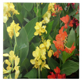 Flores Amarelas e Vermelhas