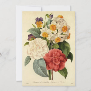 Flores Antigas, Camélias e Narcisos, Redoute