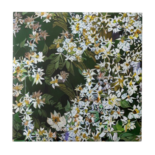 FLÔRES ASTER (Frente)