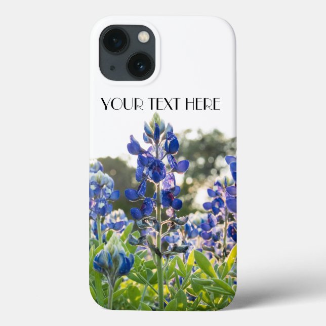 Flores Azuis Flores do Texas Lupine Floral (Verso)