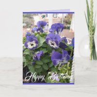 Flores Azuis Pansy Floral Viola Cartão Fotográfico