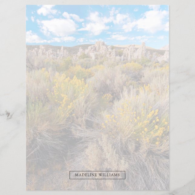 Flores | Blooming Sagebrush California (Frente)
