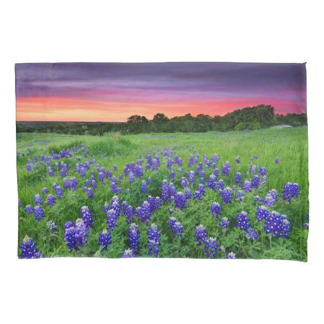 Flores | Bluetooth no Texas Sunset (Frente)