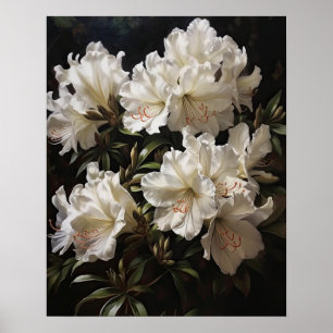 Flores brancas Azalea Impressão
