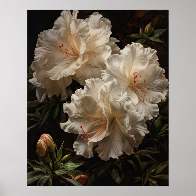 Flores brancas Azalea Impressão (Frente)
