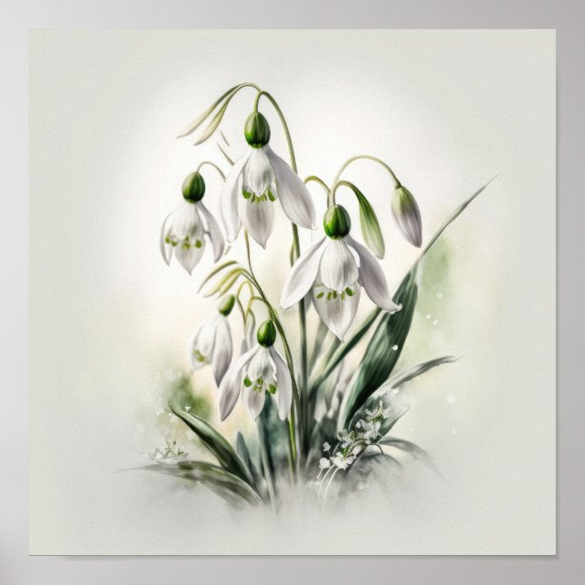 Flores Brancas de Galanthus Impressão Artística Po (Frente)