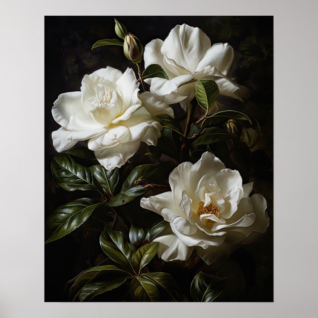 Flores brancas de Gardenia Impressão (Frente)