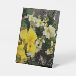 Flores brancas e amarelas do jardim