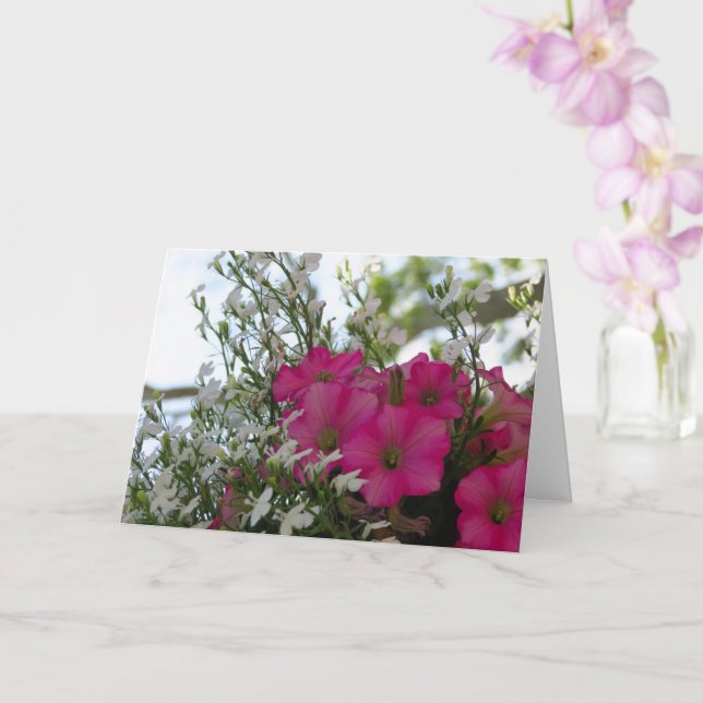 Flores brancas e cor-de-rosa - Cartão de Vinha de  (Orquídea)