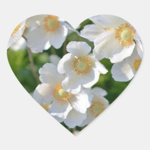 Flores brancas no adesivo do coração