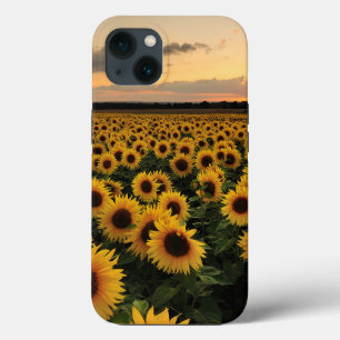Flores Campo de girassol