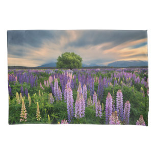 Flores Campo de linha na Nova Zelândia