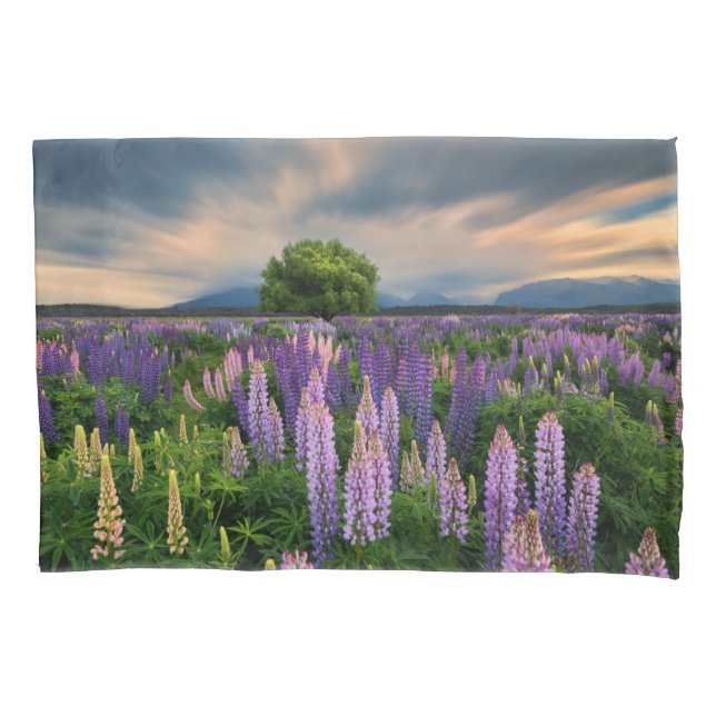 Flores | Campo de linha na Nova Zelândia (Frente)