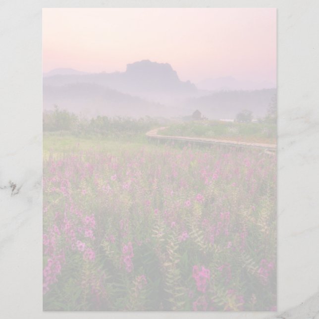 Flores | Chiang Dao, Chiang Mai, Tailândia (Frente)