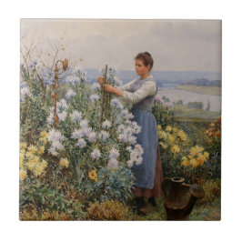 Flores Chrysanthemum (Garota no Jardim)