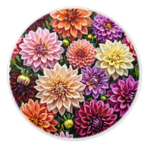 Flores Coloridas de Dahlia