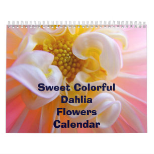 Flores Coloridas de Dália Calendário Florais