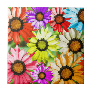 Flores coloridas de Gerbera