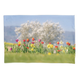 Flores Coloridas de primavera com Tulipas e Daffod