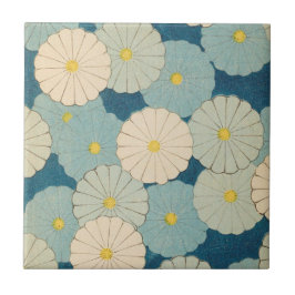 Flores coloridas do crisântemo