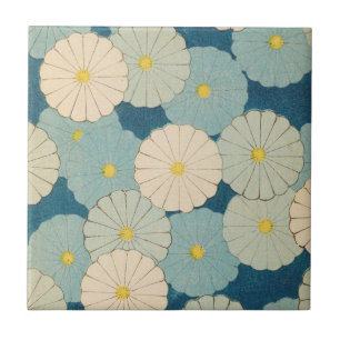 Flores coloridas do crisântemo