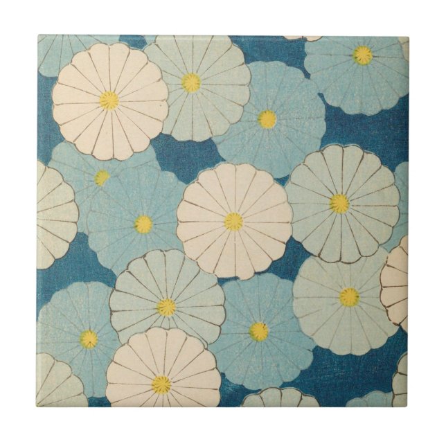 Flores coloridas do crisântemo (Frente)