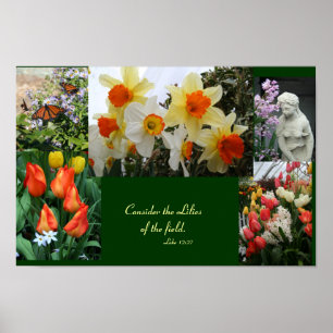 Flores "Considere os lírios do campo" poster
