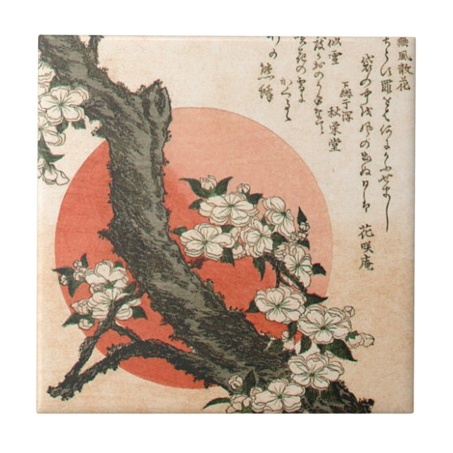 Flores cor-de-rosa (Frente)