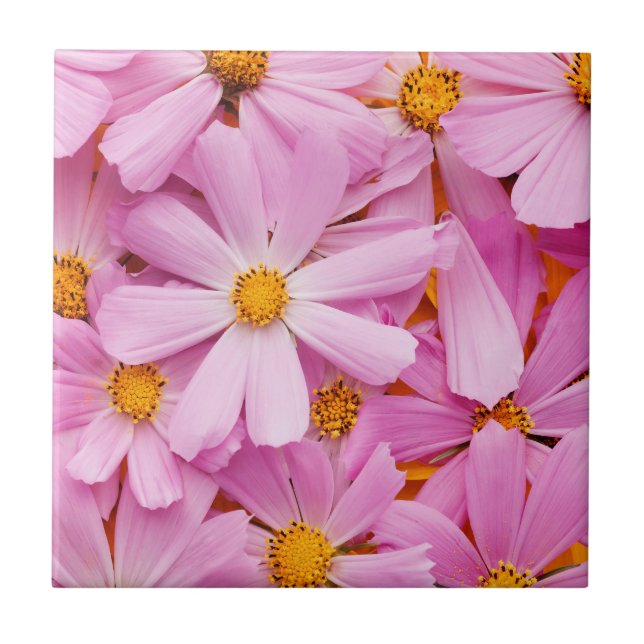 Flores Cor-de-Rosa (Frente)