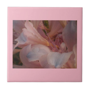 Flores cor-de-rosa
