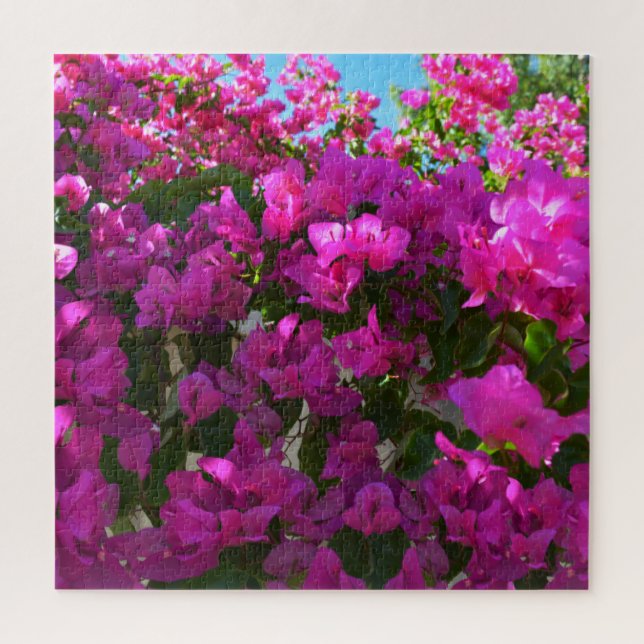 Flores cor-de-rosa Bougainvillea, Quebra-cabeça (Vertical)