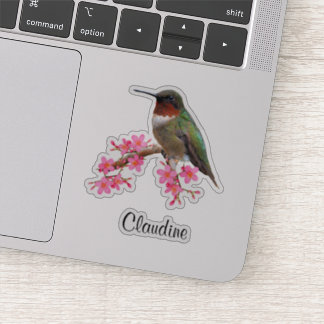 Flores cor-de-rosa e adesivos de vinilo para aves