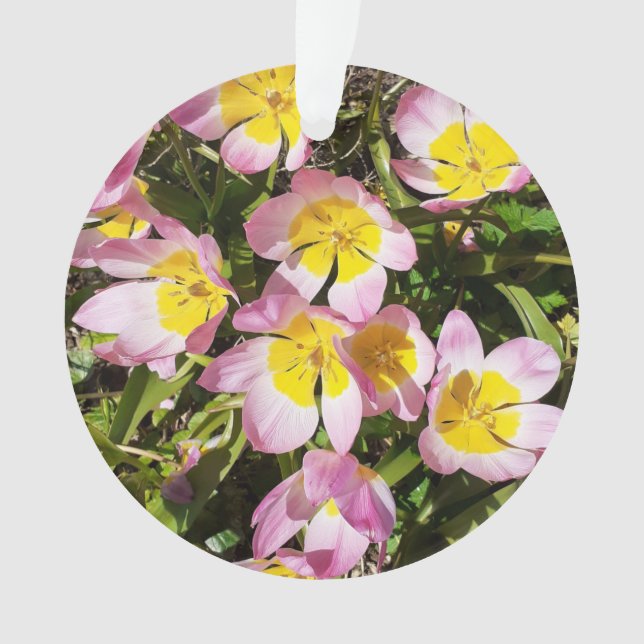 Flores Cor-de-rosa e amarelas Ornamento acrílico (Frente)