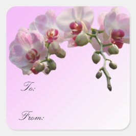 flores cor-de-rosa, etiquetas de plástico de prese