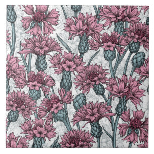 Flores cor-de-rosa, flores silvestres, brancas