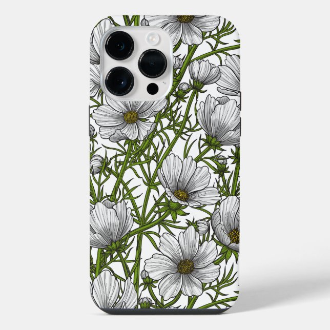 Flores cosmos brancas (Verso)