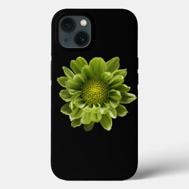 Flores | Crolisântemo Verde (Verso)