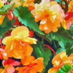 FLORES DA BEGÔNIA<br><div class="desc">Bonito aquarela de begônias amarelas e cor-de-rosa.</div>