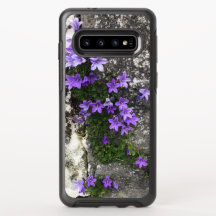 Flores da Campânia crescendo em uma parede