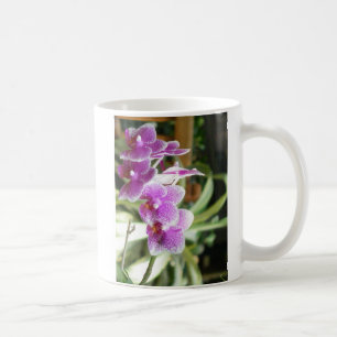 flores da caneca de café da orquídea