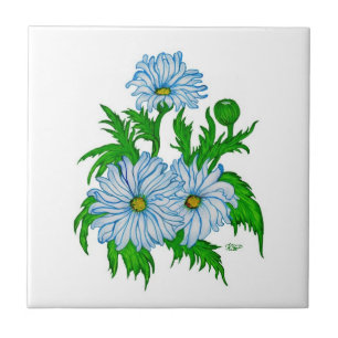 Flores da Daisies