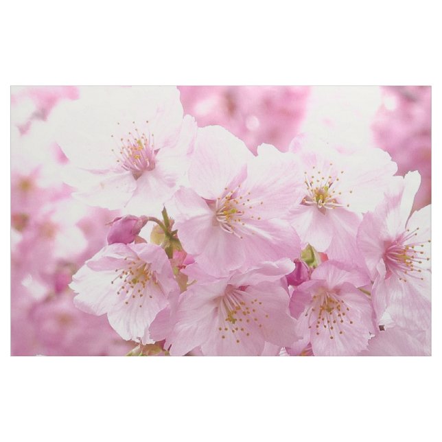 Flores da flor de cerejeira que Sewing o tecido (Fat Quarter)