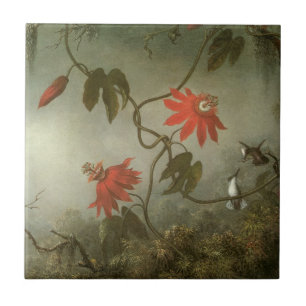 Flores da Paixão e Beija-flores de Martin J Heade