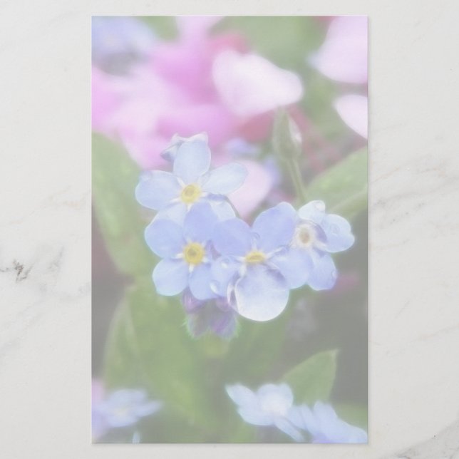 Flores Da Primavera - Esqueça-Me Noções E Redbuds (Frente)