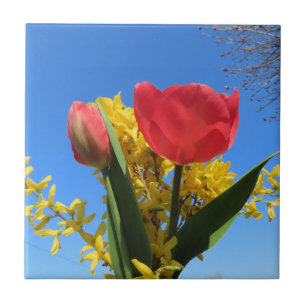 flores da primavera, tulipas, coloridas + flores,