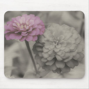 Flores Da Zinnia Fecham O Mousepad Preto E Branco