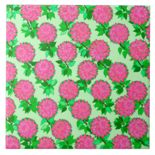 Flores Dahlia, cor-de-rosa,